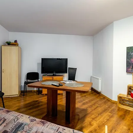 Homestay Strych Kosciuszki - Duzy
