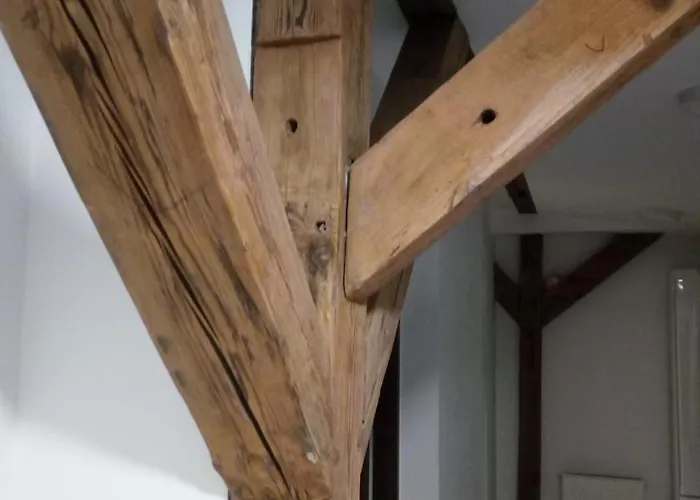 Habitación en casa particular Strych Kosciuszki - Duzy Szczecin